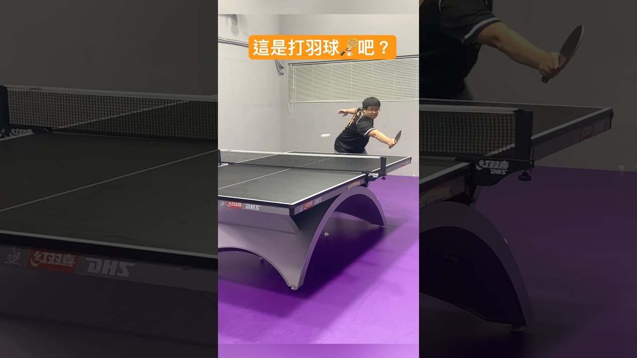 引发了广泛